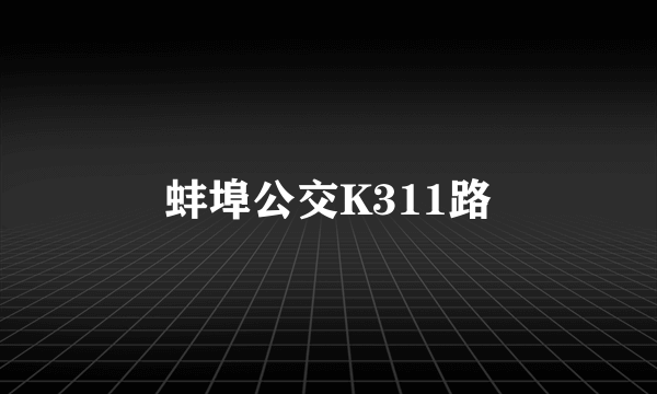 蚌埠公交K311路