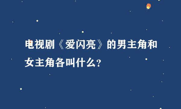 电视剧《爱闪亮》的男主角和女主角各叫什么？