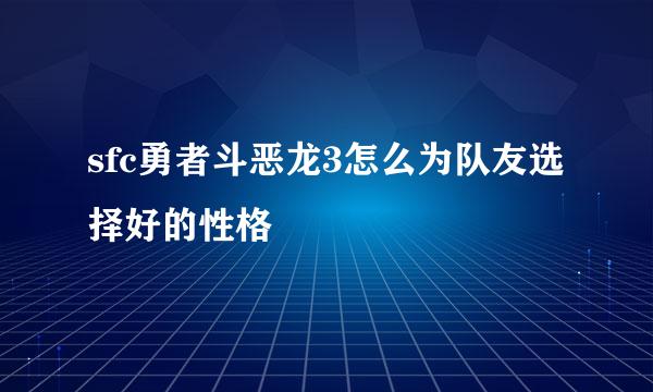 sfc勇者斗恶龙3怎么为队友选择好的性格