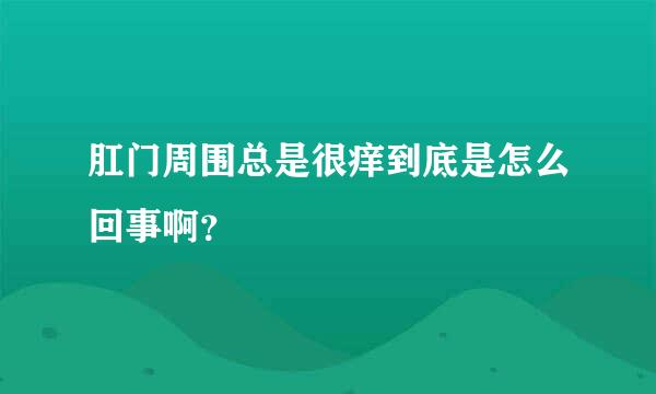 肛门周围总是很痒到底是怎么回事啊？