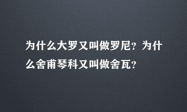 为什么大罗又叫做罗尼？为什么舍甫琴科又叫做舍瓦？