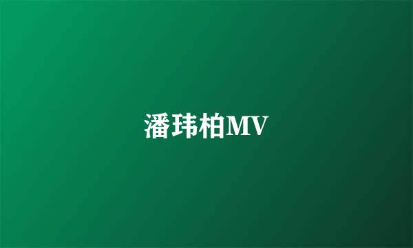 潘玮柏MV