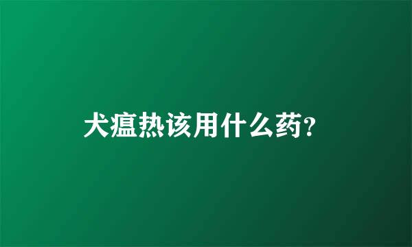 犬瘟热该用什么药？