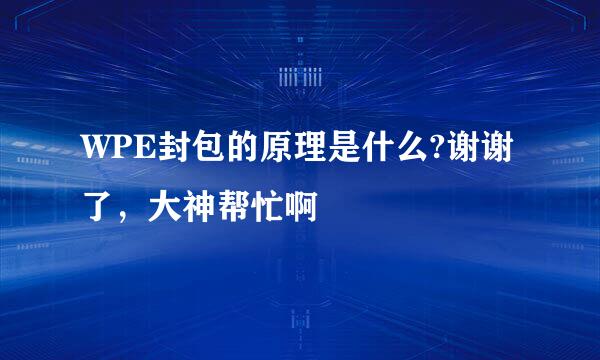 WPE封包的原理是什么?谢谢了，大神帮忙啊