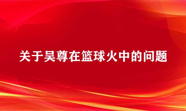 关于吴尊在篮球火中的问题