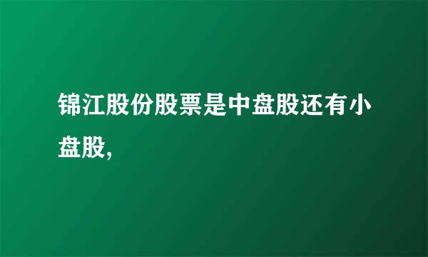 锦江股份股票是中盘股还有小盘股,