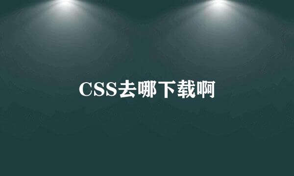 CSS去哪下载啊