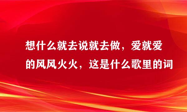 想什么就去说就去做，爱就爱的风风火火，这是什么歌里的词