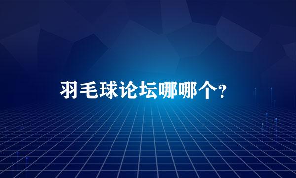 羽毛球论坛哪哪个？