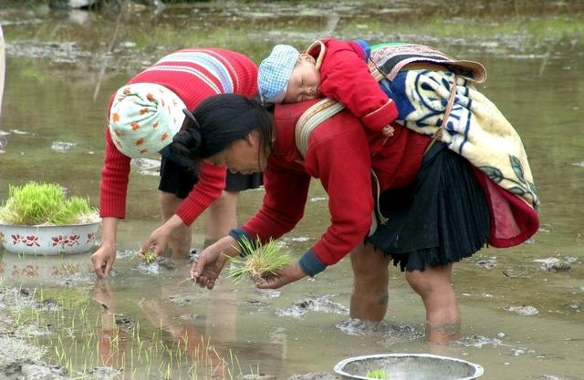 带孩子是女人的天职吗？