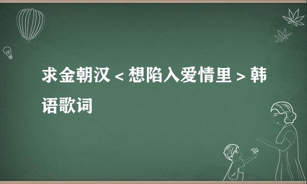 求金朝汉＜想陷入爱情里＞韩语歌词