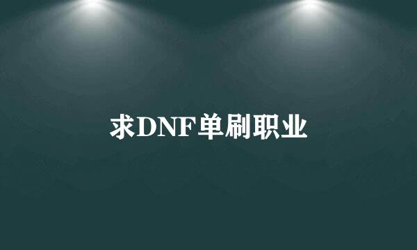 求DNF单刷职业