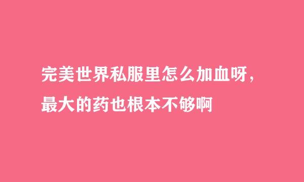 完美世界私服里怎么加血呀，最大的药也根本不够啊