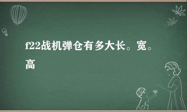 f22战机弹仓有多大长。宽。高