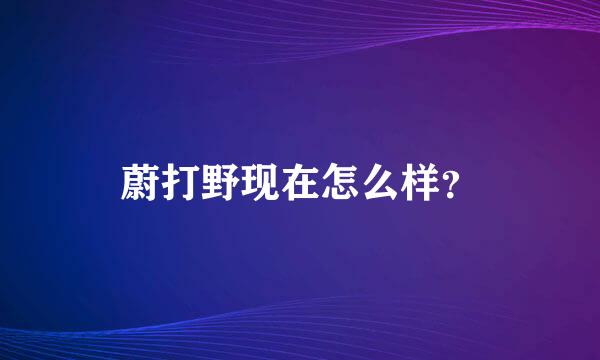 蔚打野现在怎么样？