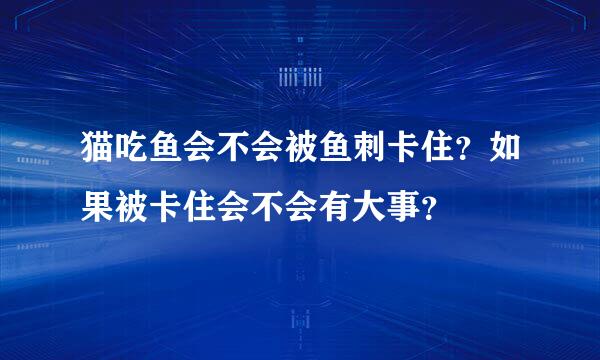 猫吃鱼会不会被鱼刺卡住？如果被卡住会不会有大事？