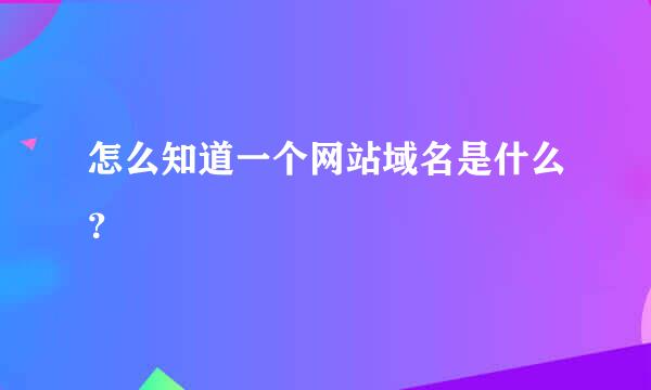 怎么知道一个网站域名是什么？