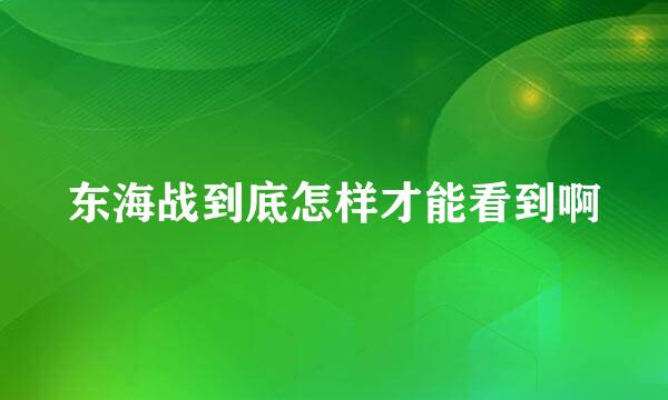 东海战到底怎样才能看到啊