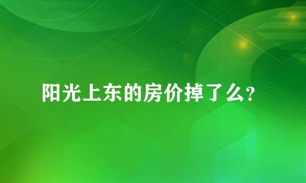 阳光上东的房价掉了么？