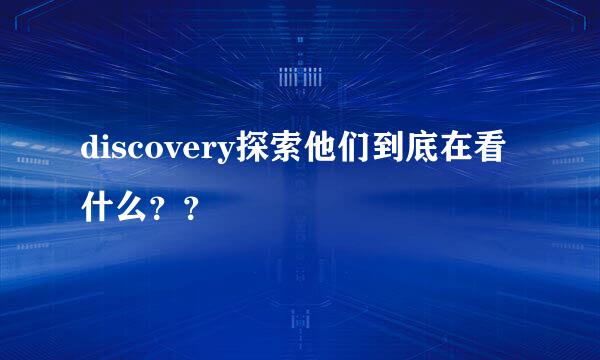 discovery探索他们到底在看什么？？