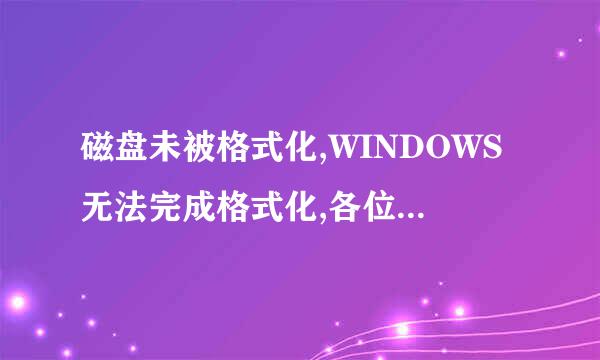 磁盘未被格式化,WINDOWS无法完成格式化,各位救救小弟吧~~~~~~