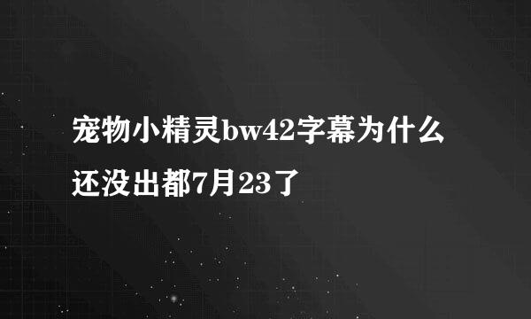 宠物小精灵bw42字幕为什么还没出都7月23了