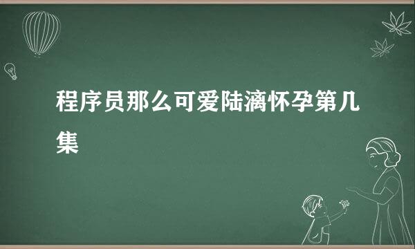 程序员那么可爱陆漓怀孕第几集