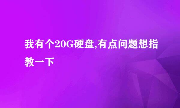 我有个20G硬盘,有点问题想指教一下