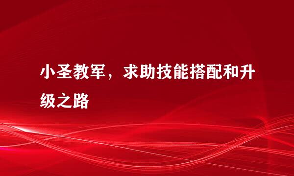 小圣教军，求助技能搭配和升级之路