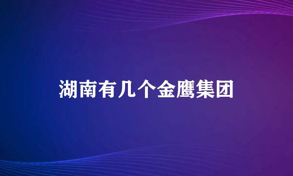 湖南有几个金鹰集团