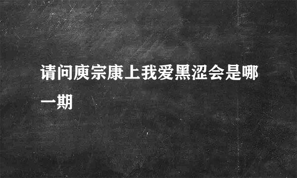 请问庾宗康上我爱黑涩会是哪一期