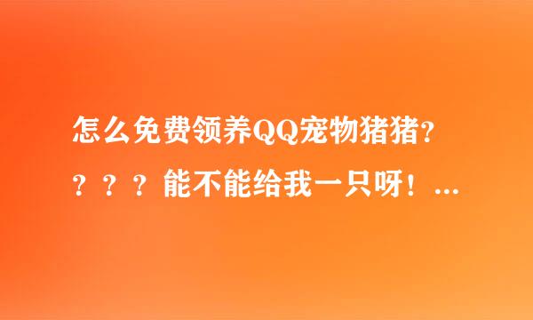 怎么免费领养QQ宠物猪猪？？？？能不能给我一只呀！！！我的QQ号:470985547