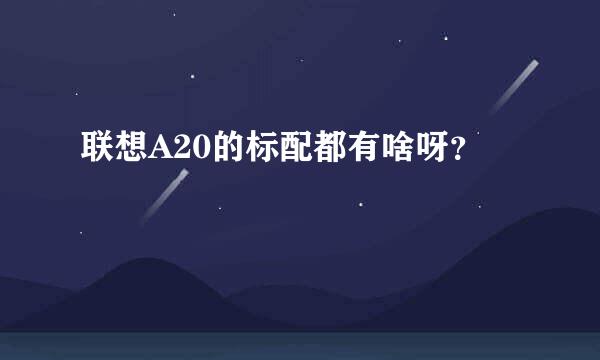 联想A20的标配都有啥呀？