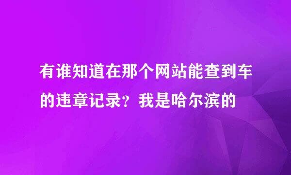 有谁知道在那个网站能查到车的违章记录？我是哈尔滨的