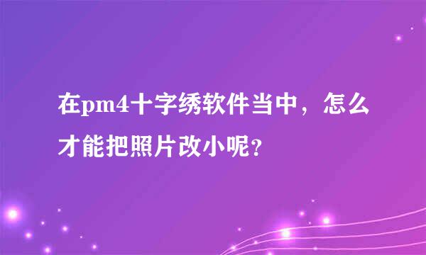 在pm4十字绣软件当中，怎么才能把照片改小呢？