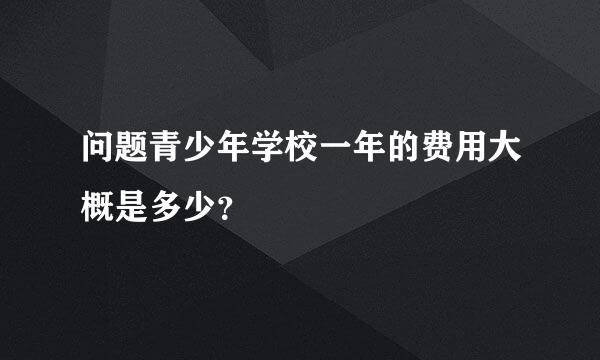 问题青少年学校一年的费用大概是多少？