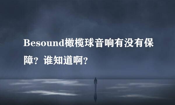 Besound橄榄球音响有没有保障？谁知道啊？