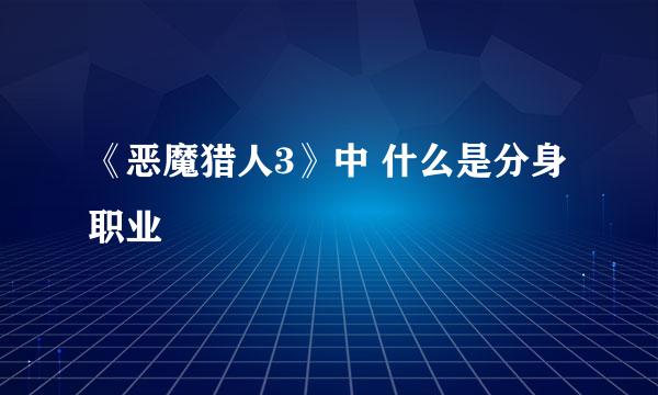 《恶魔猎人3》中 什么是分身职业