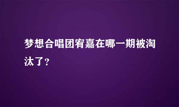 梦想合唱团宥嘉在哪一期被淘汰了？