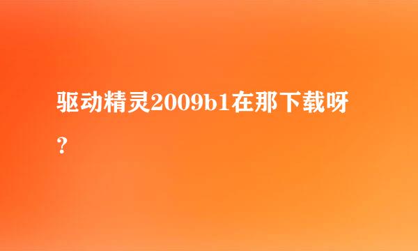 驱动精灵2009b1在那下载呀？