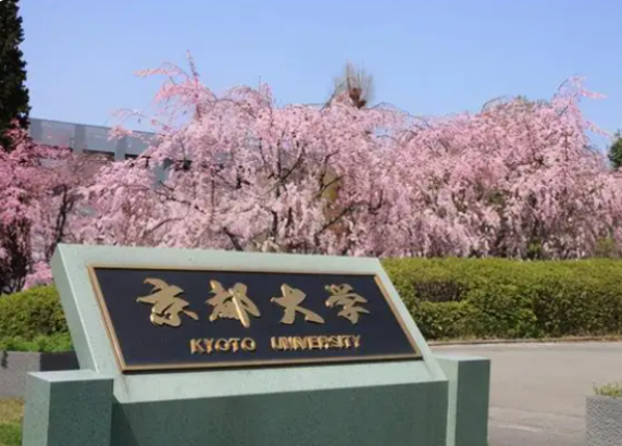 日本十大名校日本大学排名