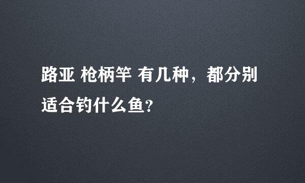 路亚 枪柄竿 有几种，都分别适合钓什么鱼？