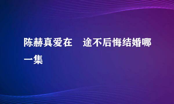 陈赫真爱在囧途不后悔结婚哪一集