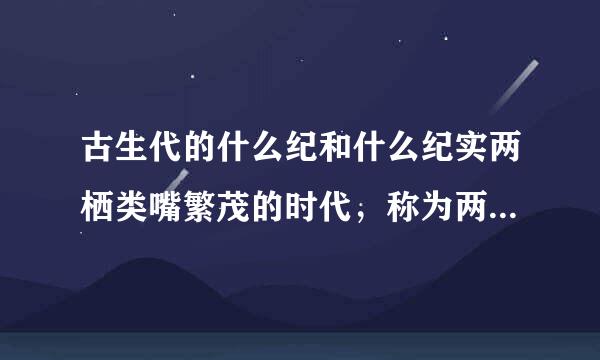 古生代的什么纪和什么纪实两栖类嘴繁茂的时代，称为两栖时代？