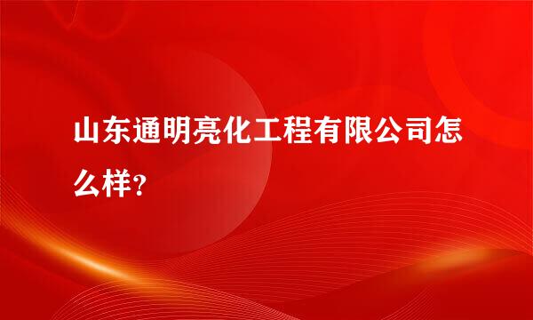 山东通明亮化工程有限公司怎么样？