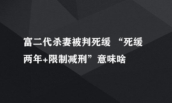 富二代杀妻被判死缓 “死缓两年+限制减刑”意味啥