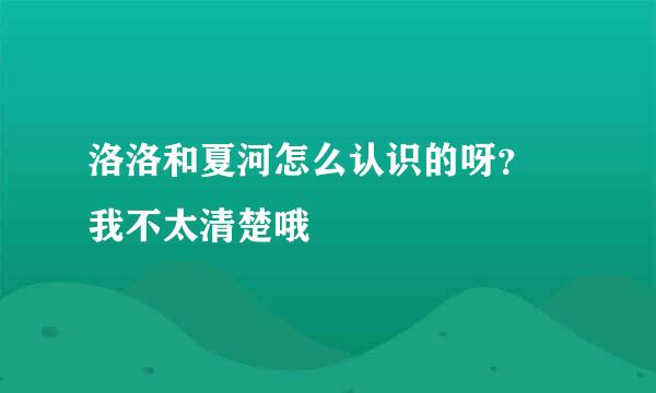 洛洛和夏河怎么认识的呀？ 我不太清楚哦