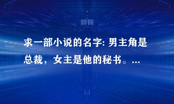 求一部小说的名字: 男主角是总裁，女主是他的秘书。开始时女主角只是男主角的秘书，后