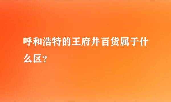 呼和浩特的王府井百货属于什么区？