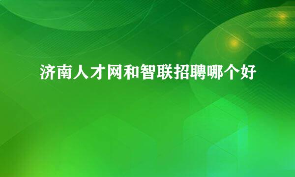 济南人才网和智联招聘哪个好